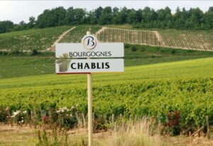 Chablis vineyard landscape