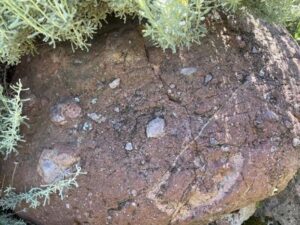 Volcanic Soils of Piedmonte Italy