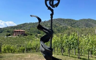 A Journey into the Finesse and Elegance of Natural Wines in Piedmont