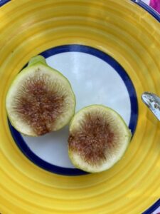 Organic Figs from the an orchard in Campania Italy